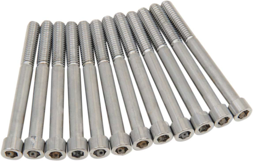 Drag Specialties - Drag Specialties Crankcase Bolt Kit - Smooth - 2401-0973