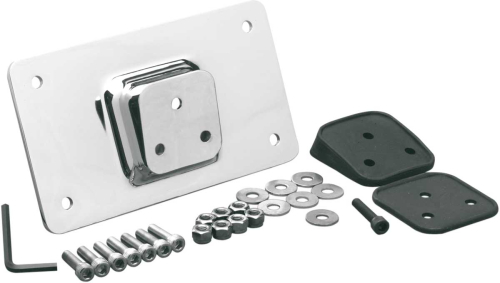 Drag Specialties - Drag Specialties License Plate Mount - Chrome - DS-720814