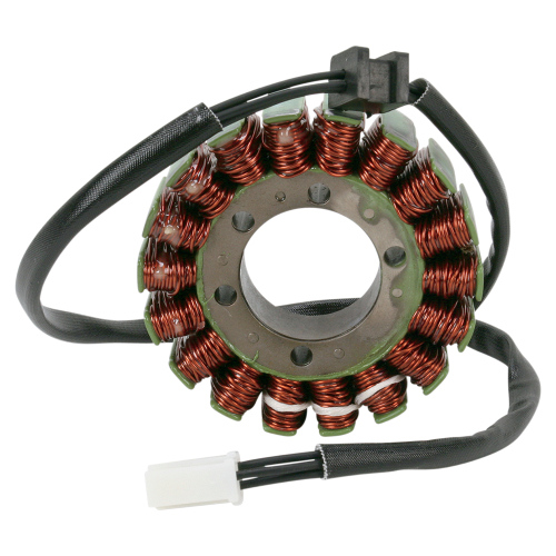 Ricks Motorsport Electric - Ricks Motorsport Electric Stator - 21-236