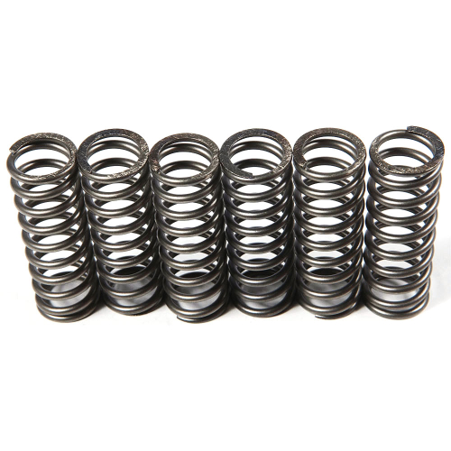 EBC - EBC CSK Clutch Spring Kit - CSK119