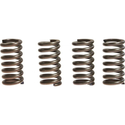 EBC - EBC CSK Clutch Spring Kit - CSK12