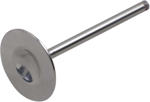 Del West - Del West Titanium Intake Valve (2mm Oversize) - DW-TRX450R2IV05