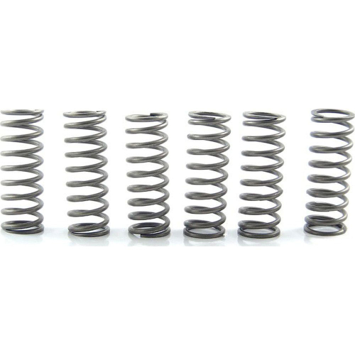 EBC - EBC CSK Clutch Spring Kit - CSK205