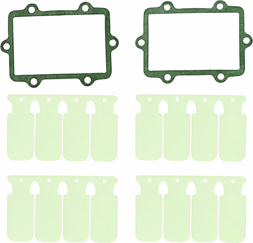 SP1 - SP1 Reed Valve Rebuild Kit - SM-07301