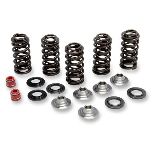 Kibblewhite Precision - Kibblewhite Precision Valve Spring Kit - 80-80066