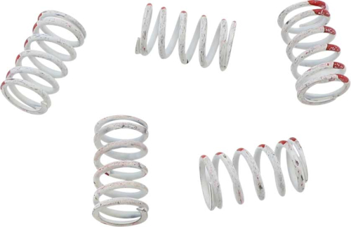KG Clutch Factory - KG Clutch Factory High Performance Clutch Spring Set - KGS-033