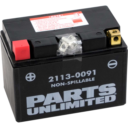 Parts Unlimited - Parts Unlimited AGM Factory Activated Maintenance-Free Battery - CTZ12S
