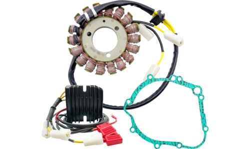 Ricks Motorsport Electric - Ricks Motorsport Electric High-Output Charging Kit - 99-300