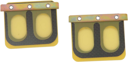 Boyesen - Boyesen Replacement Pro Series Reeds for Rad Valve - PSR-195