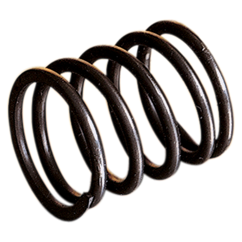 WSM - WSM Shaft Spring - 010-453