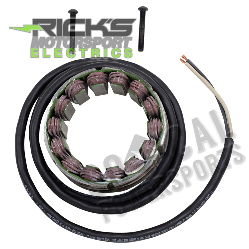 Ricks Motorsport Electric - Ricks Motorsport Electric Stator - 21-031