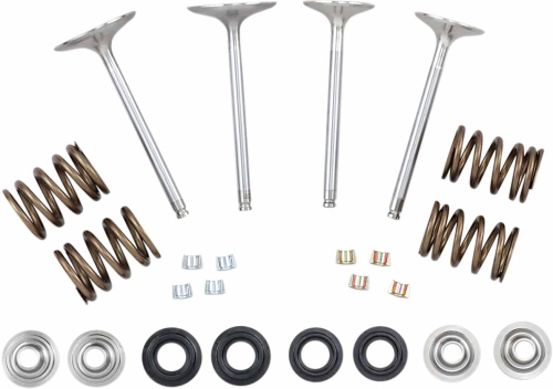 Xceldyne - Xceldyne X2 Master Valve Kit - X2VMK33001