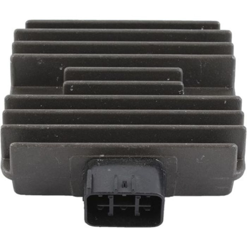 Wild Boar - Wild Boar Regulator - 230-58067