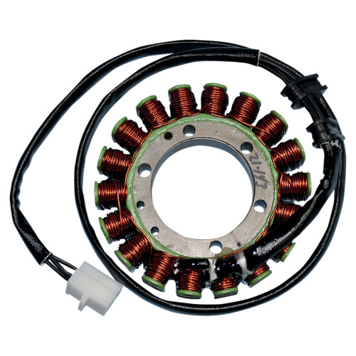 Ricks Motorsport Electric - Ricks Motorsport Electric Stator - 21-143