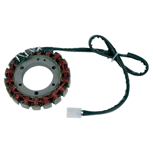 Ricks Motorsport Electric - Ricks Motorsport Electric Stator - 21-207
