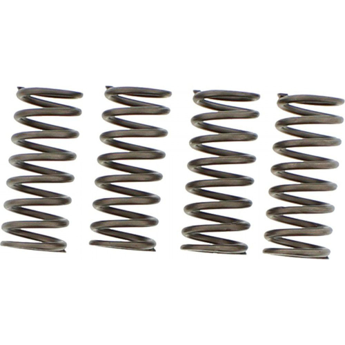 EBC - EBC CSK Clutch Spring Kit - CSK155