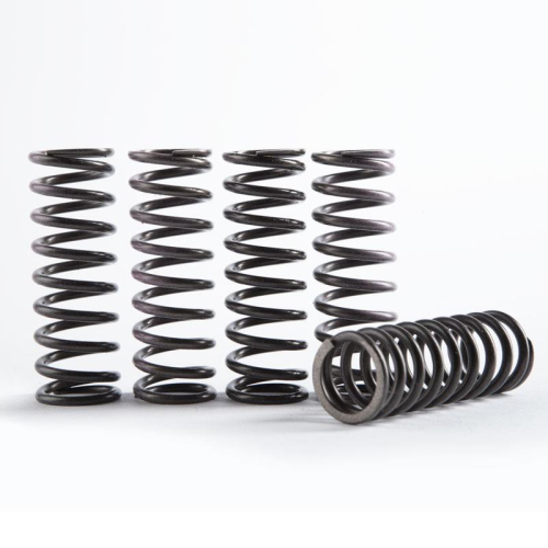 Hinson Racing - Hinson Racing Hi-Temp Clutch Spring Kit - CS755-6-0116