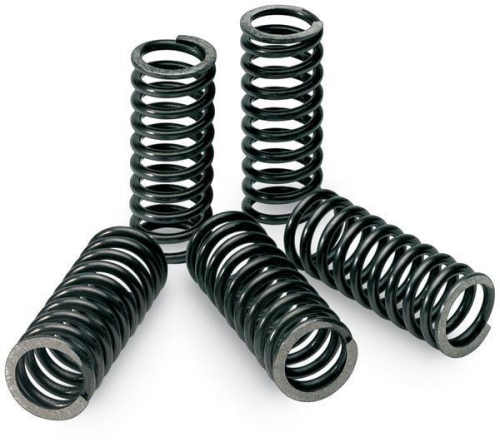 Pro Circuit - Pro Circuit Clutch Springs - CSK10250-CS