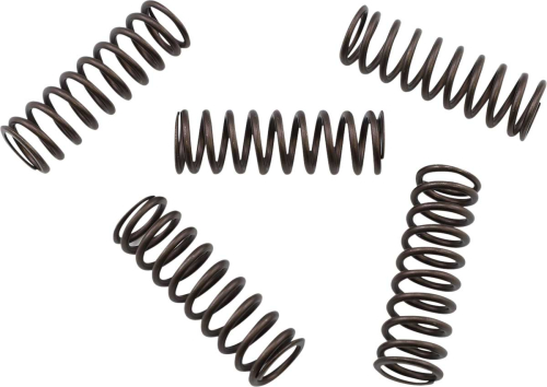 KG Clutch Factory - KG Clutch Factory High Performance Clutch Spring Set - KGS-805