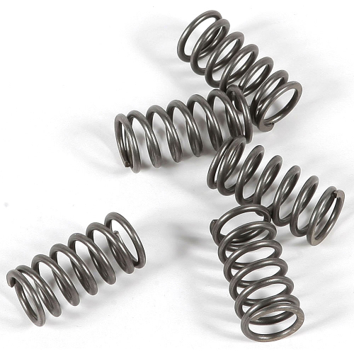 EBC - EBC CSK Clutch Spring Kit - CSK116