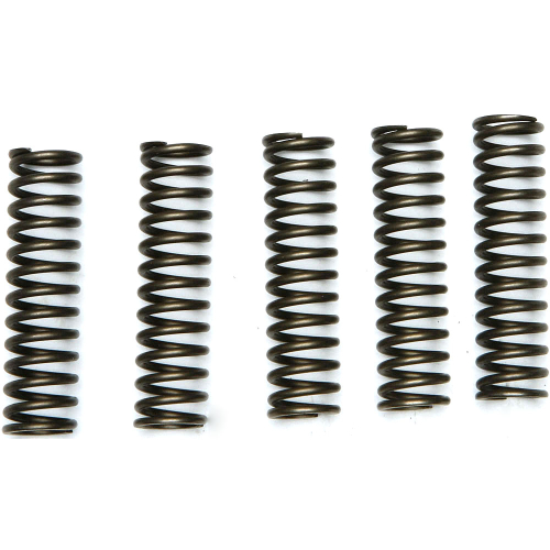 EBC - EBC CSK Clutch Spring Kit - CSK128