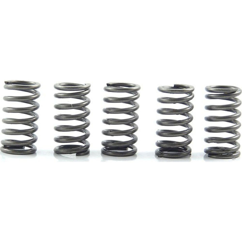 EBC - EBC CSK Clutch Spring Kit - CSK118