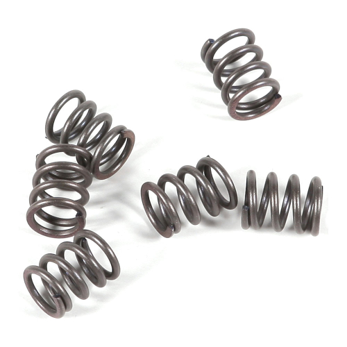 EBC - EBC CSK Clutch Spring Kit - CSK21