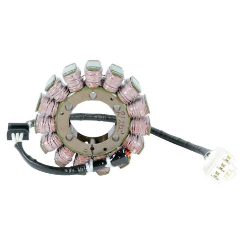 Ricks Motorsport Electric - Ricks Motorsport Electric Stator - 21-232