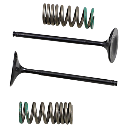 Pro-X - Pro-X Steel Intake Valve and Spring Kit - 28.SIS1340-2