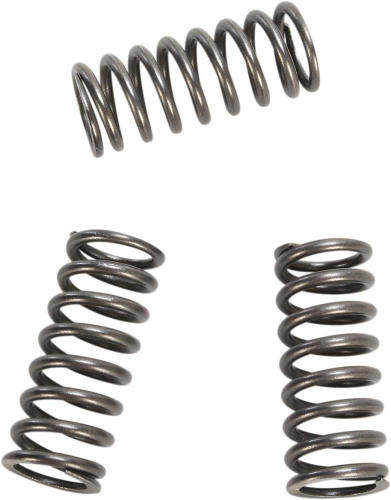 EBC - EBC CSK Clutch Spring Kit - CSK218