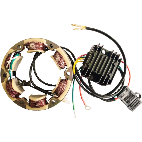 Ricks Motorsport Electric - Ricks Motorsport Electric Lithium-Ion Charging Kit - 14-99-101