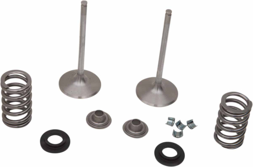 Xceldyne - Xceldyne X2 Intake Valve Kit - X2VIK13000