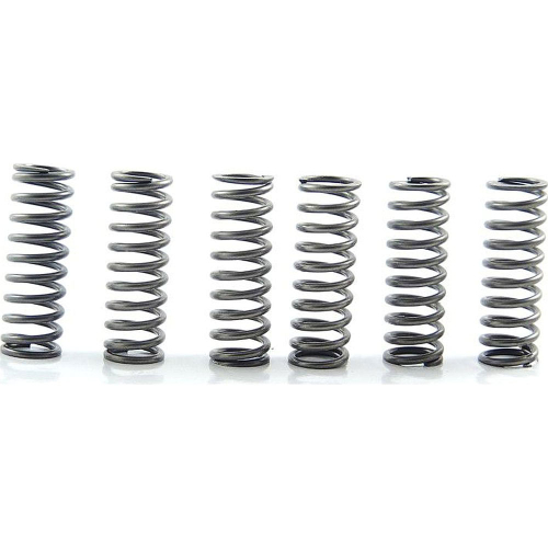 EBC - EBC CSK Clutch Spring Kit - CSK125