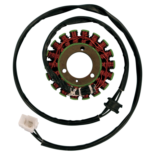 Ricks Motorsport Electric - Ricks Motorsport Electric Stator - 21-310