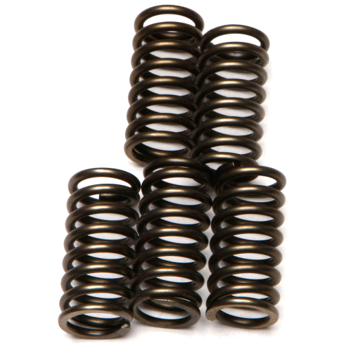 EBC - EBC CSK Clutch Spring Kit - CSK137
