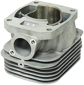 SPI - SPI Cylinder Only For Polaris - SM-09605