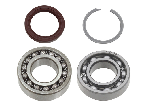 SP1 - SP1 Jack Shaft Bearing and Seal Kit - SM-03213