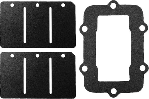 SP1 - SP1 Reed Valve Rebuild Kit - SM-07160C