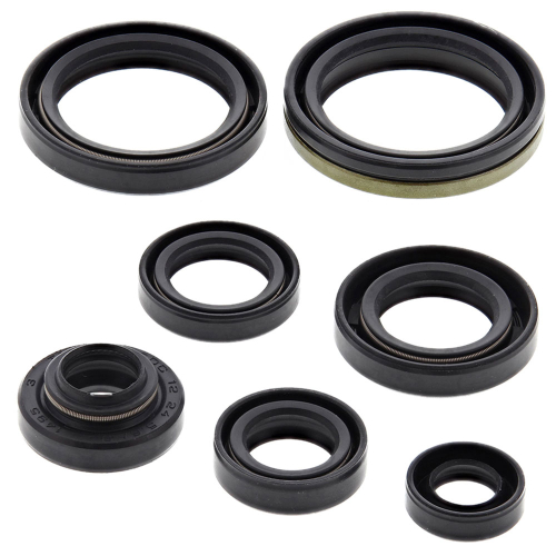 Vertex - Vertex Oil Seal Kit - 822124