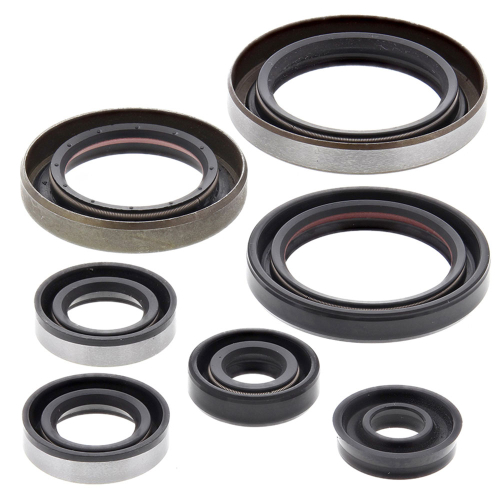 Vertex - Vertex Oil Seal Kit - 822186