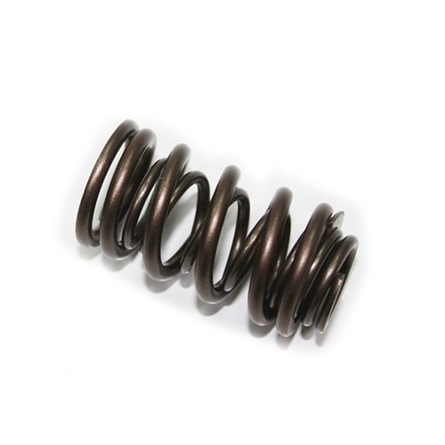 SPI - SPI Exhaust Spring Valve - XU-09537ES