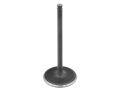Bronco - Bronco Exhaust Valve - AU-09201I