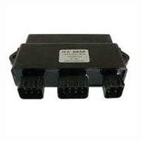 Wild Boar - Wild Boar High Performance CDI - IYA6038