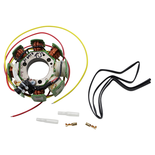 Ricks Motorsport Electric - Ricks Motorsport Electric Stator - 21-641H