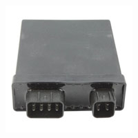 Wild Boar - Wild Boar High Performance CDI - IYA6032