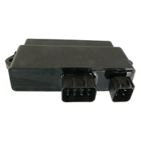 Wild Boar - Wild Boar High Performance CDI - IYA6035