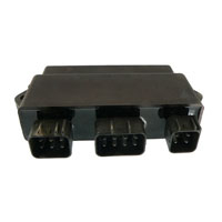 Wild Boar - Wild Boar High Performance CDI - IYA6033