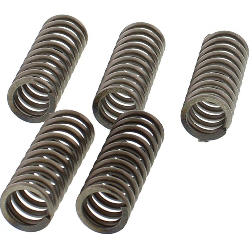 EBC - EBC CSK Clutch Spring Kit - CSK215