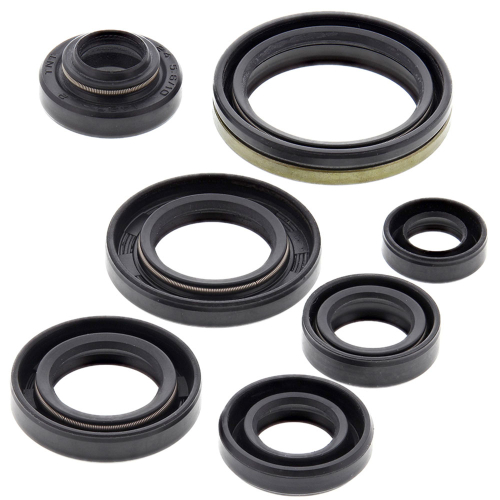 Vertex - Vertex Oil Seal Kit - 822305