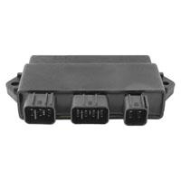 Wild Boar - Wild Boar High Performance CDI - IYA6026